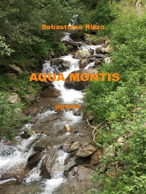 cover image of Aqua montis